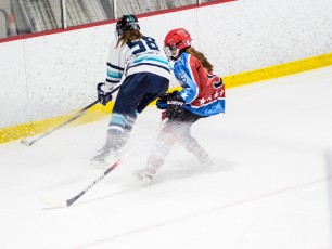 Vermont Black Bears vs. Sara-Placid Lakers