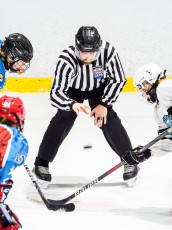 Vermont Black Bears vs. Sara-Placid Lakers
