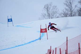 Alpine Skiing
