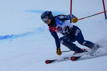 Alpine Skiing
