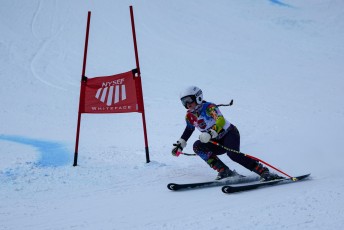 Alpine Skiing