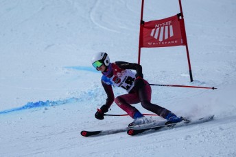 Alpine Skiing
