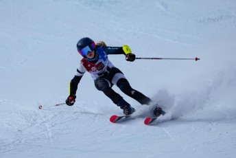 Alpine Skiing
