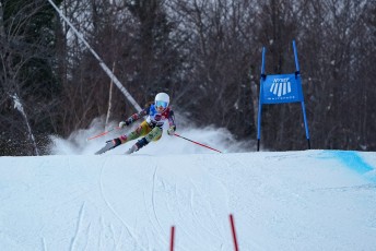Alpine Skiing