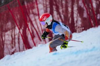 Alpine Skiing