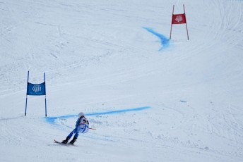 Alpine Skiing