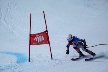 Alpine Skiing