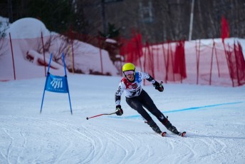 Alpine Skiing
