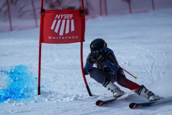 Alpine Skiing