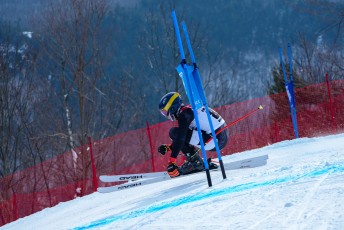 Alpine Skiing