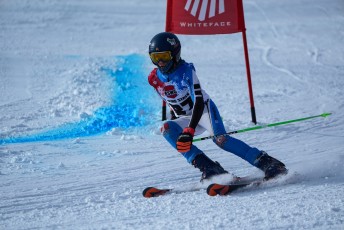 Alpine Skiing