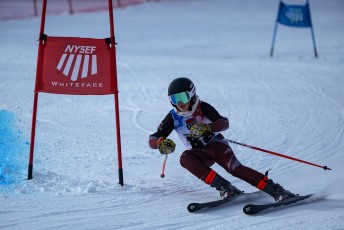Alpine Skiing