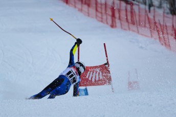 Alpine Skiing