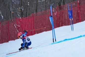Alpine Skiing