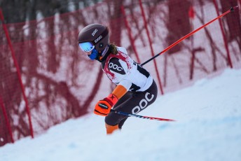 Alpine Skiing