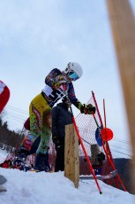 Alpine Skiing