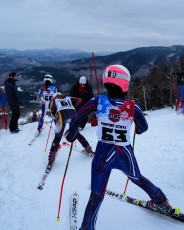 Alpine Skiing