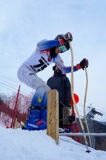 Alpine Skiing