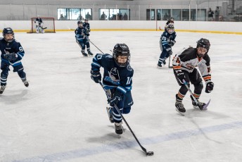 Rome Grizzles vs. LI Rebels