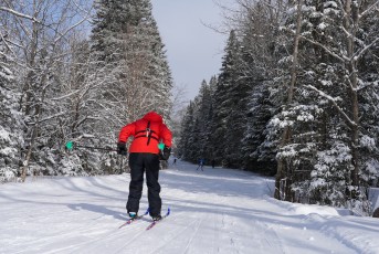 Ski Orienteering