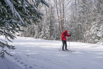 Ski Orienteering