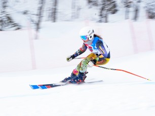 Apline Giant Slalom