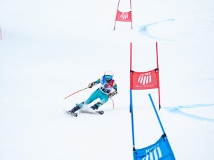 Alpine Giant Slalom