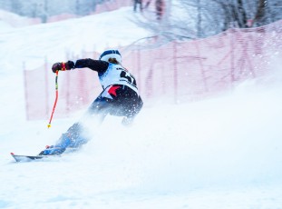 Alpine Giant Slalom