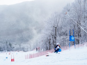 Alpine Giant Slalom