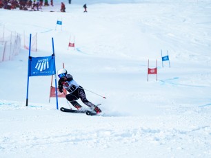 Alpine Giant Slalom