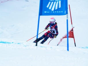 Alpine Giant Slalom