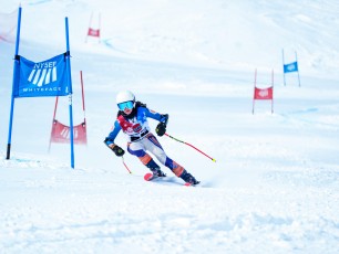 Alpine Giant Slalom
