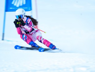 Alpine Giant Slalom