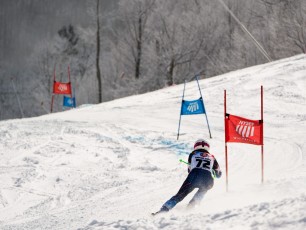 Alpine Giant Slalom