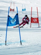 Alpine Giant Slalom