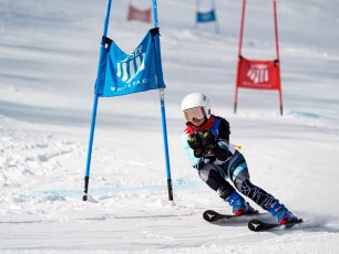 Alpine Giant Slalom
