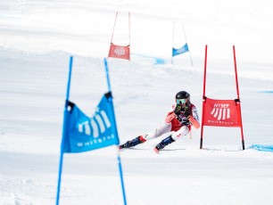 Alpine Giant Slalom