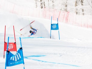 Alpine Giant Slalom