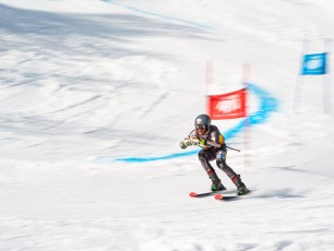 Alpine Giant Slalom