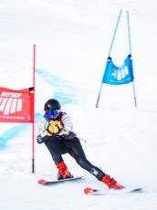 Alpine Giant Slalom