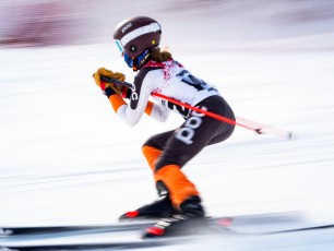 Alpine Giant Slalom