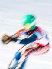 Alpine Giant Slalom