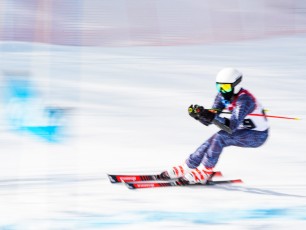 Alpine Giant Slalom