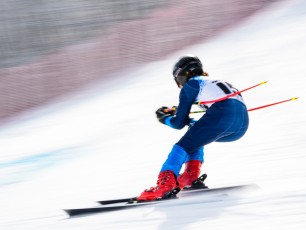 Alpine Giant Slalom