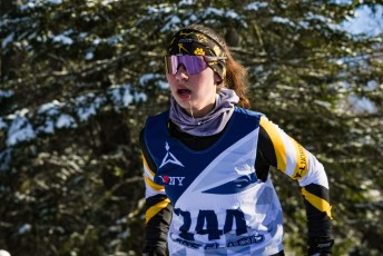 Cross Country Skiing