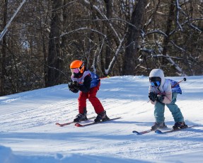 Ski Cross