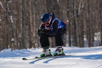 Ski Cross