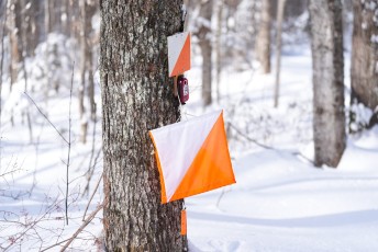 Ski Orienteering