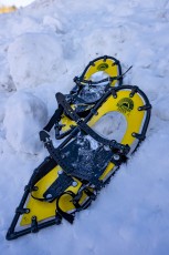 Snowshoeing
