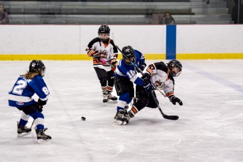 U10 Hockey - Rome Grizzles vs. Lysander Lightning